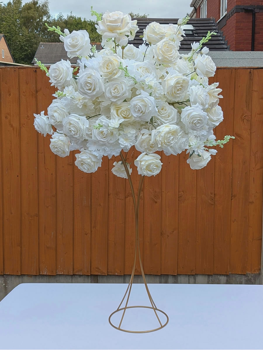 white and ivory goldcage